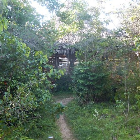 Wasini Island Bandas 외부 사진